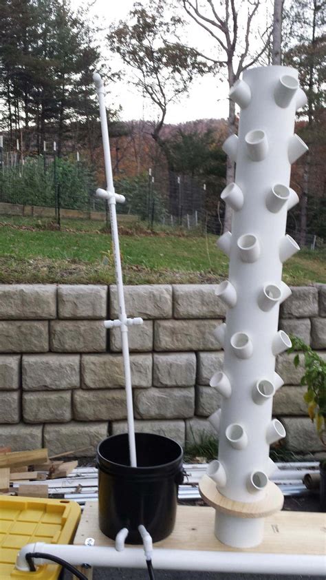 Grow anything from herbs, lettuce, strawberries & greens to full blown fruiting crops such as happy with the system, the 3 tower system is a set and forget model, currently growing strawberries, with a side setup of raspberries in growbags. DIY Aeroponic Tree pt4 #aeroponics | Aeroponics diy ...