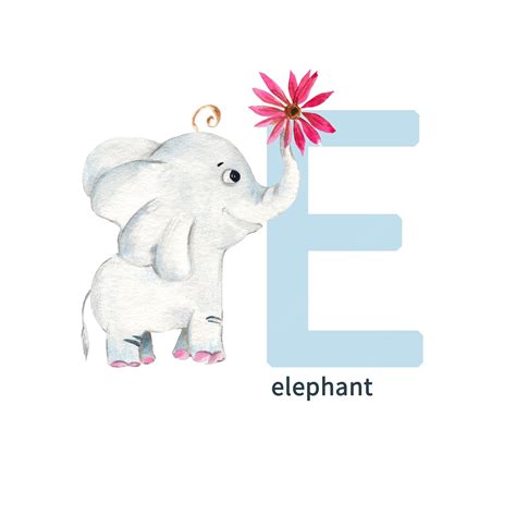 Letra E Elefante Niños Lindos Animales Coloridos Alfabeto Abc