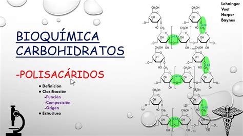 Carbohidratos Polisacáridos 1 Definición Clasificación Y Estructura