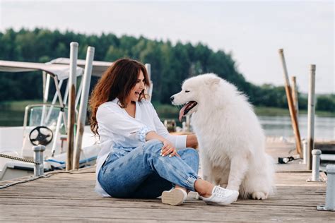 De Beste Manieren Om Je Hond Te Verzorgen Tijdens Een Ziekte I Love