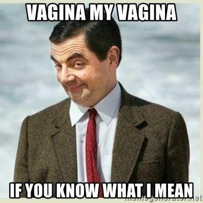 Vagina My Vagina If You Know What I Mean Mr Bean Meme Generator