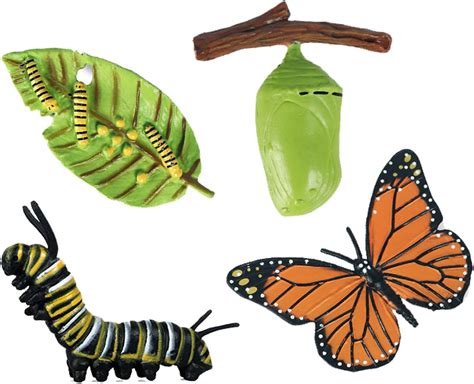 4pcs Insect Figurines Life Cycle Of Butterflies Growth Model Butterfly