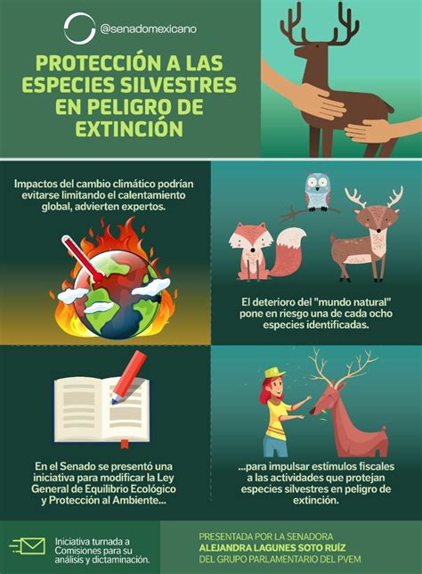 Protección A Las Especies Silvestres En Peligro De Extinción Revista