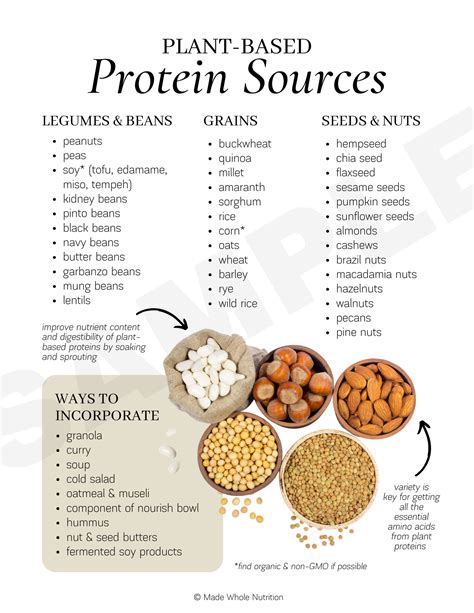 plant based protein sources handout — functional health research resources — made whole nutrition