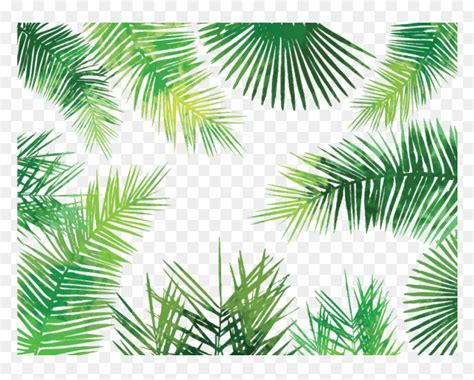 Watercolor Palm Leaves Png Transparent Tropical Leaves Background Png