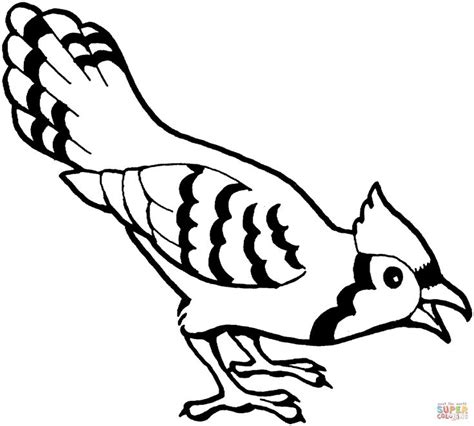 Touch device users, explore by touch or with swipe gestures. Blue Jay Bird coloring page | Free Printable Coloring ...