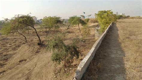 Karachi 62 Acres 35000 Trees A Forest In Making Youtube