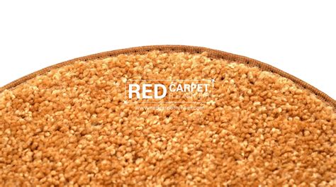 Gold Carpet Runner — Red Carpet Runner