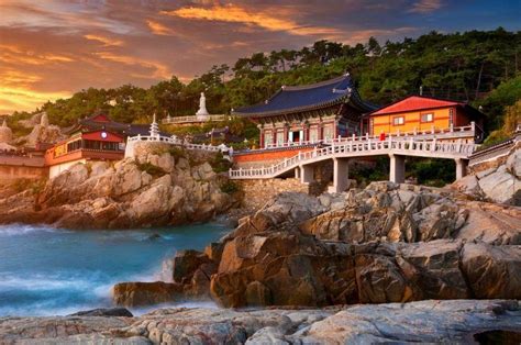 Visiting Haedong Yonggungsa Busan A Complete Guide Daily Travel Pill