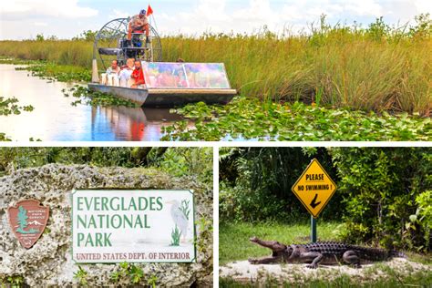 20 Best Everglades Airboat Tours