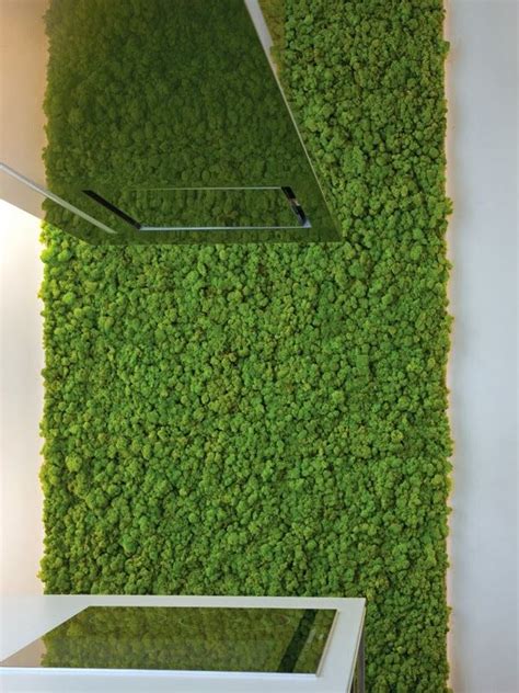 Zielone ściany Z Mchu Moss Wall Garden Wall Designs