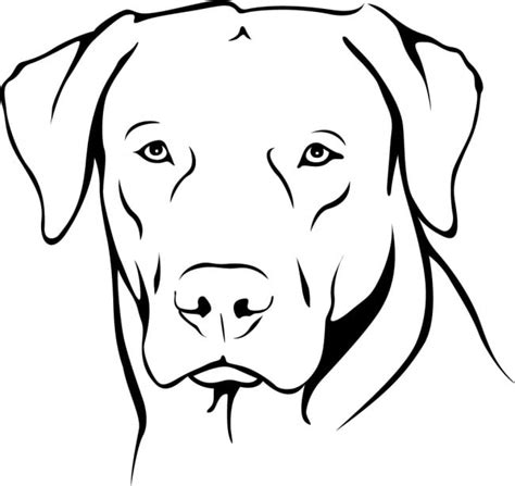 Labrador Outline Face Profile Canine Pet Dogs Wall Sticker Home Decor