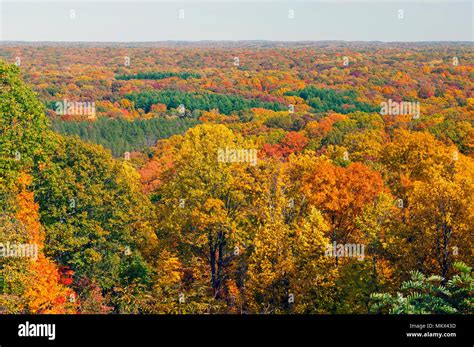 Fall Panorama In Brown County State Park In Indiana Stock Photo Alamy