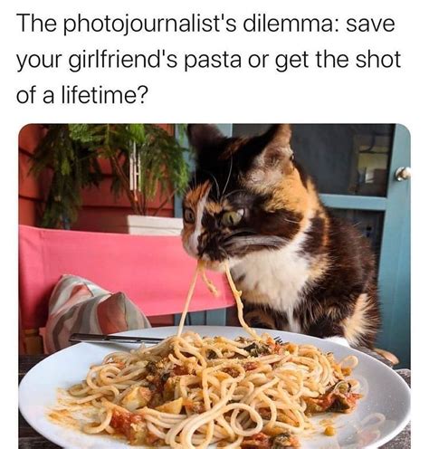 Nooo My Pasta Meme By Damusicgamer Memedroid