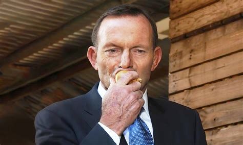 Tony Abbott receives Queen's Birthday Honour for contribution to ...
