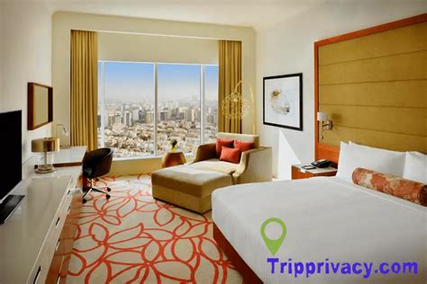 Top 15 Luxurious Hotels In Abu Dhabi Tripprivacy