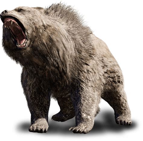 Cave Bear Far Cry Wiki Fandom Powered By Wikia