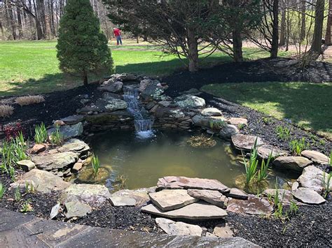 Definition of pond (entry 1 of 2) : Pond Cleaning & Maintenance Services (Get Your Pond Ready ...