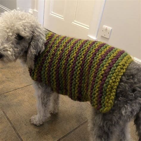 City Stripes Dog Sweater In Lion Brand Wool Ease Thick And Quick