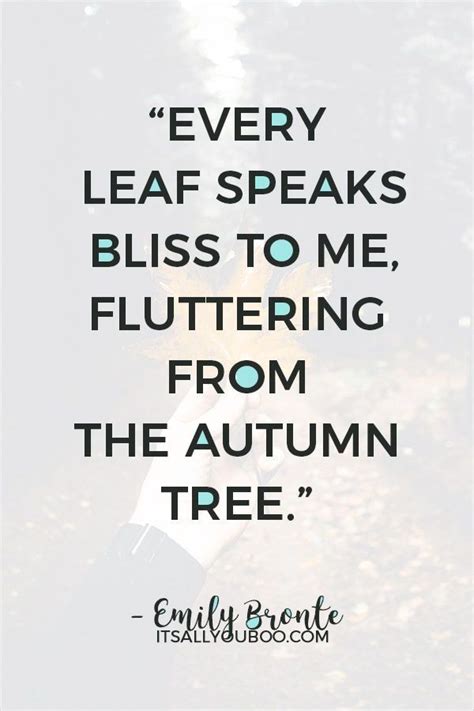 55 Inspirational Autumn Quotes And Cute Fall Is Here Sayings