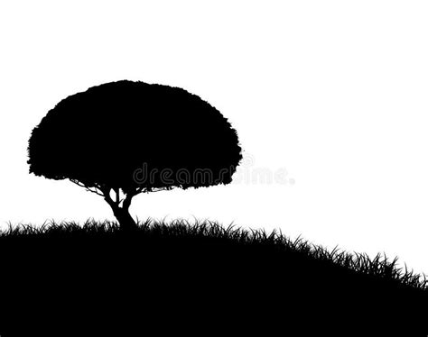 Tree Silhouette On Grassy Hill Stock Illustration Illustration Of