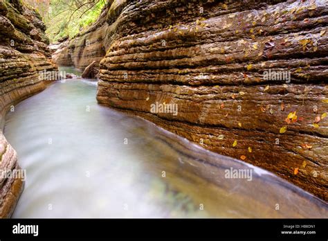 Gorge Stream Taugl Tauglbach Tauglbachklamm Hallein District