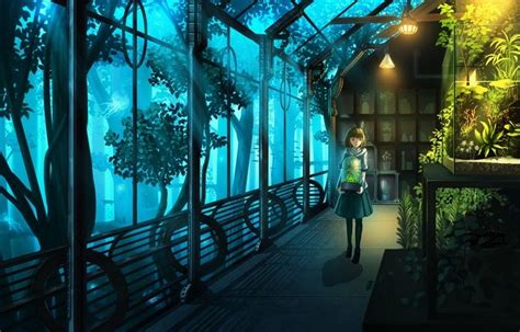 Indoors Plants Wallpaper Animation Art Anime Scenery Anime Places