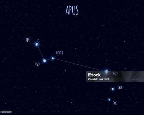 Apus Constellation Vector Illustration With Basic Stars Stock