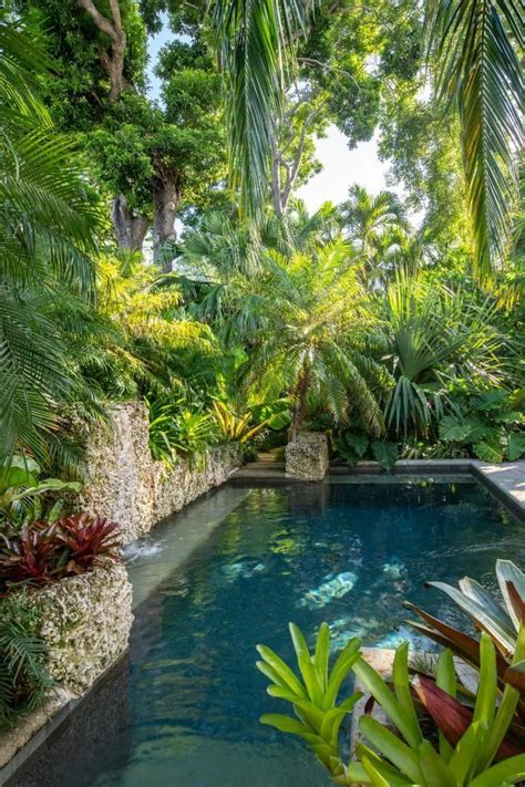 Swimming Pool And Tropical Garden In 2021 Tropical Pool Landscaping Tropical Backyard