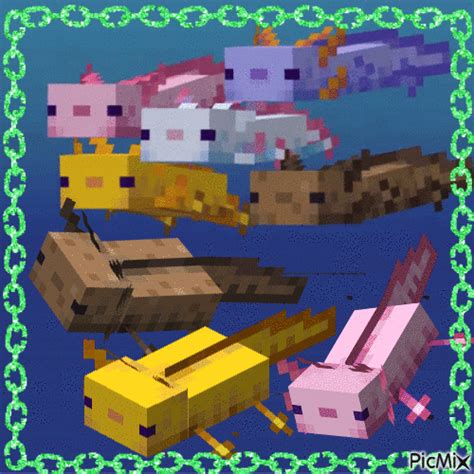 Minecraft Axolotl Free Animated  Picmix