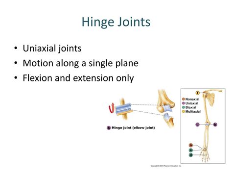 Ppt Joints Powerpoint Presentation Free Download Id1589956