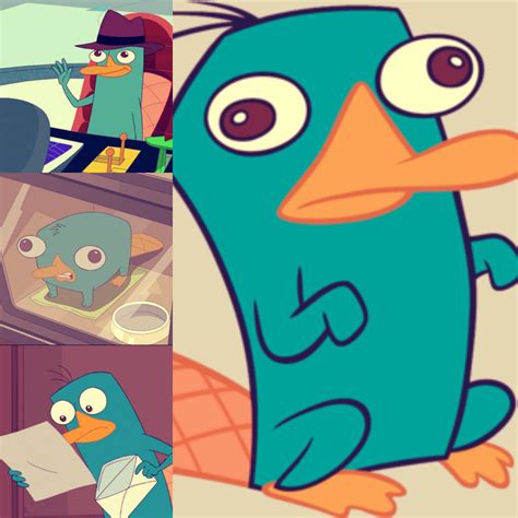Perry Collage Phineas And Ferb Fan Art 31592287 Fanpop
