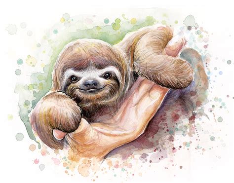 Baby Sloth Watercolor Painting By Olga Shvartsur Pixels