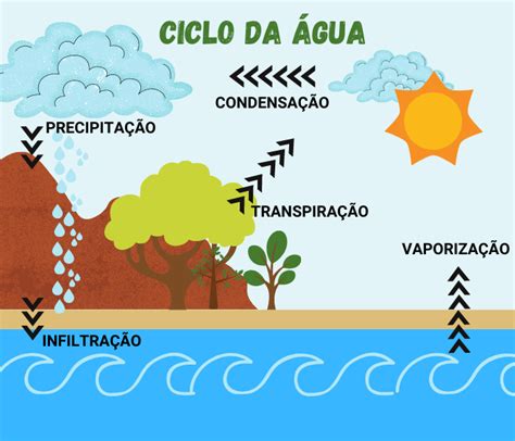 Ciclo Da água O Que é E Como Ocorre Significados