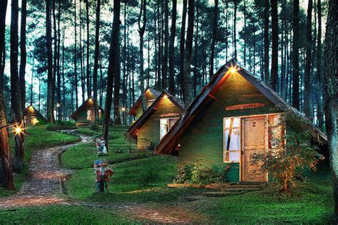 Wisata Hutan Pinus Grafika Cikole Lembang Bandung Yang Eksotis