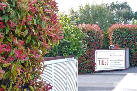 Mustcoonawarra Apartments And Camerons Cottage 126 Church Street