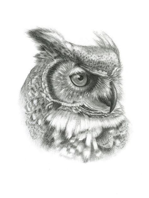 Drawn Owl Sketch Pencil And In Color Drawn Owl Sketch Owl Tattoo