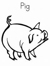 Pig Coloring Printable Animals sketch template