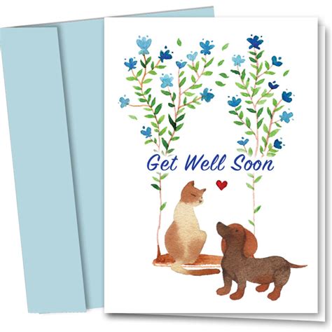 Pet Get Well Cards Get Well Swing Get Well Cards Sole Source
