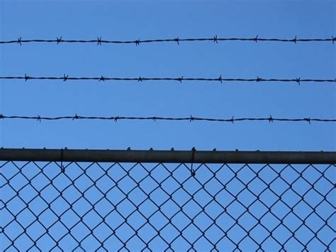 Free Barbed wire fence Stock Photo - FreeImages.com