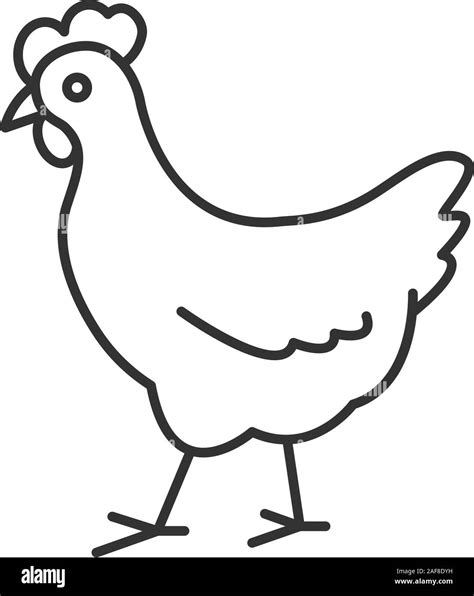 Chicken Linear Icon Poultry Farm Thin Line Illustration Hen Contour Symbol Vector Isolated