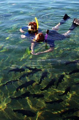 Nearly 80 years later, people are still cooling off at our park. Balmorhea State Park Cabin Rentals - HOME DECOR