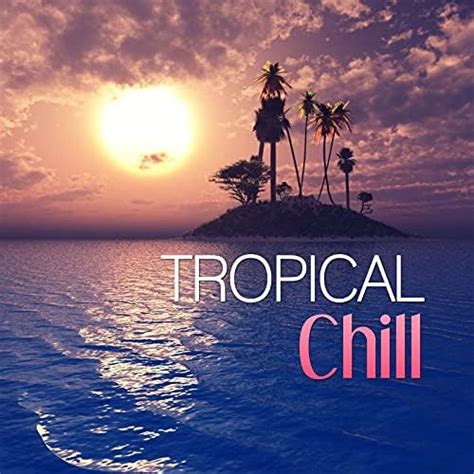 Tropical Chill Tropical House Drink Bar Sunset Lounge