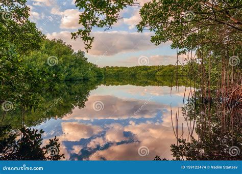 Coot Bay Pond In Everglades National Parkfloridausa Stock Photo