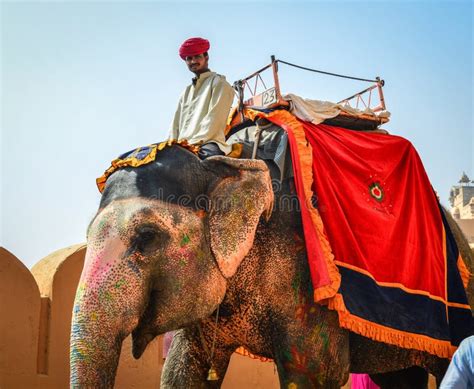 Riding Decorated Elephant From Amber Fort Editorial Photography Image