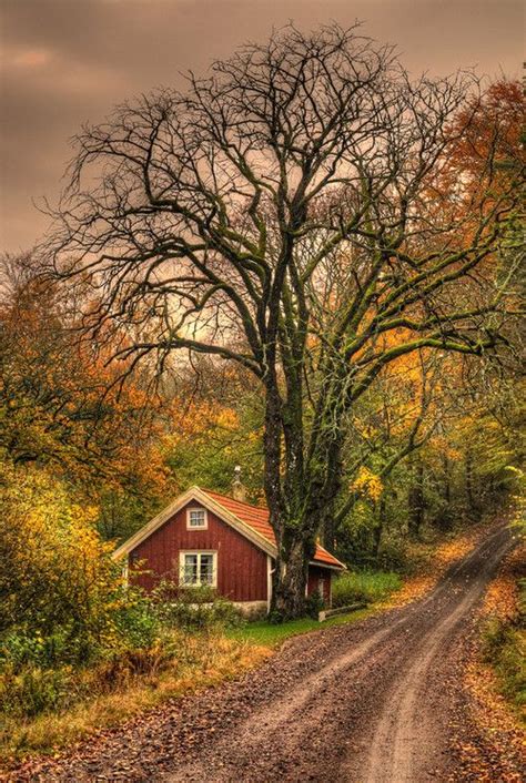 Autumn At The Cottage Cozy Rustic Design Pinterest