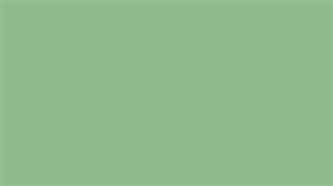 X Dark Sea Green Solid Color Background