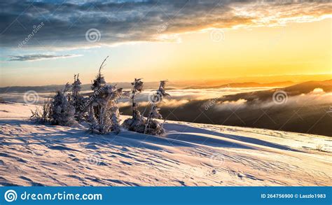 Winter Mountain Landscape Bieszczady Mountains Carpathians Poland