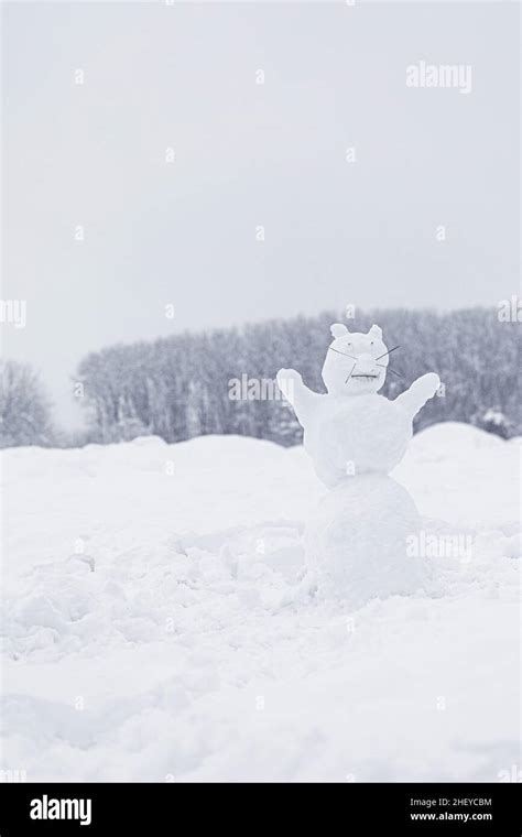 The Figure Of Funny Snowman Animal In Snowy Field Stock Photo Alamy