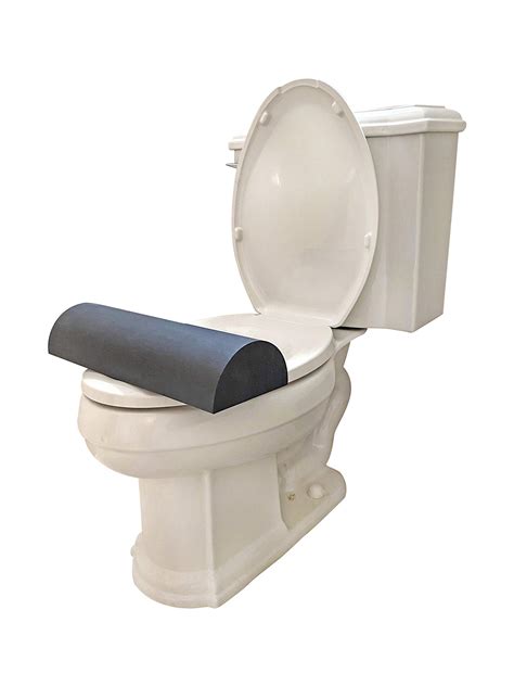 Principal Imagen Toilet Seat Lifter In Thptnganamst Edu Vn